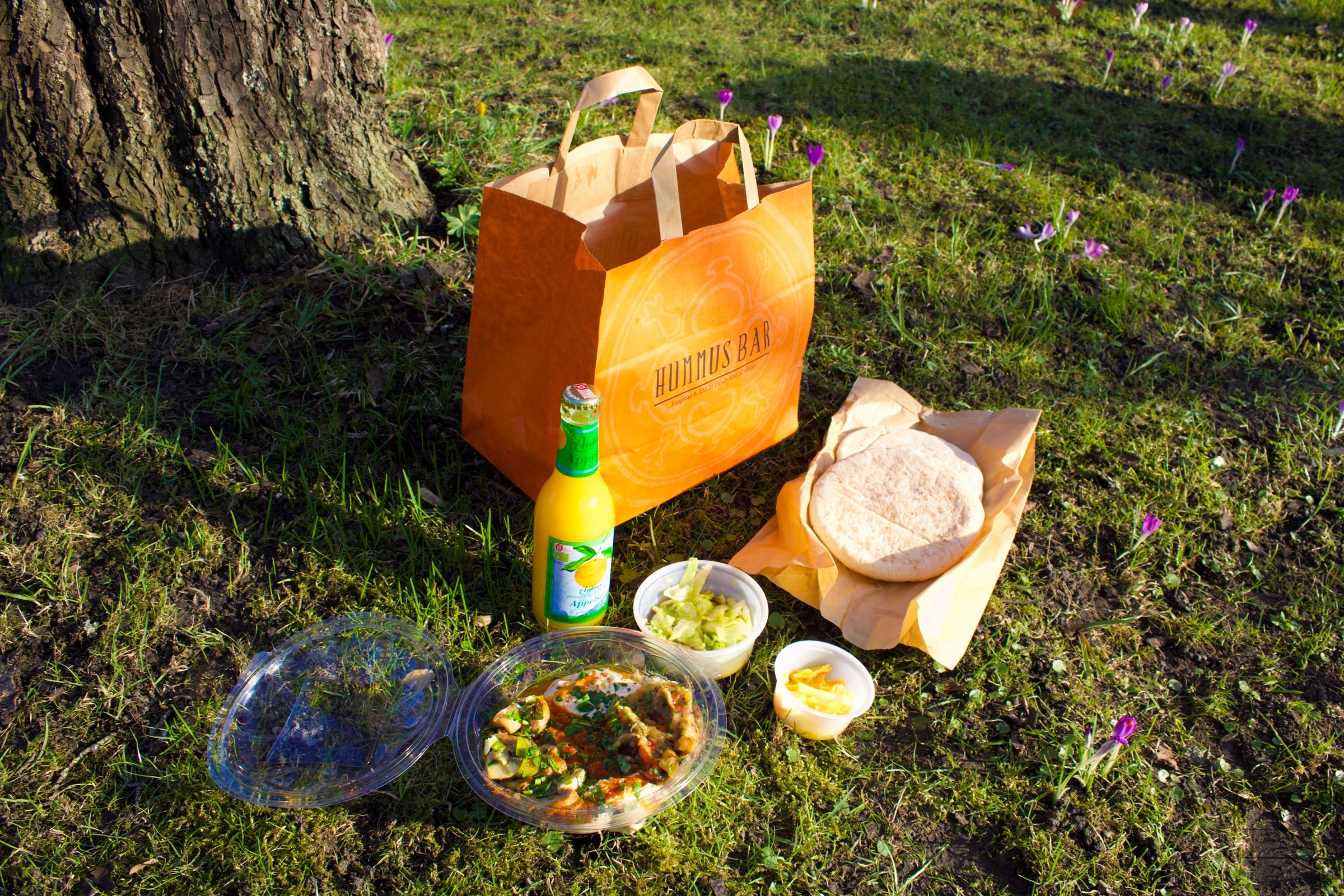 Hummus Bar — 1
